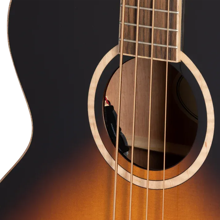EIABSJAVSNH1_soundhole.webp