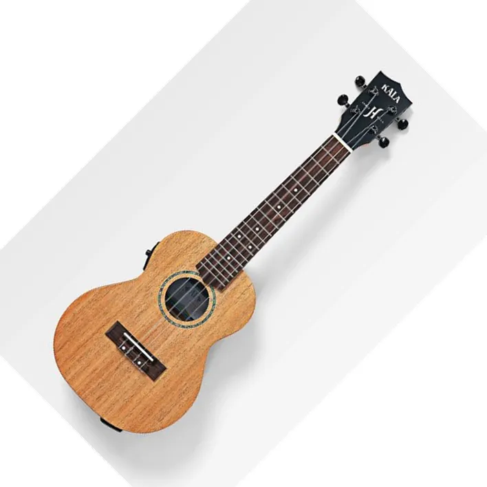 [KA-JH-AMHG-C-E-BAG] Ukulélé Kala concert  James Hill signature en acajou massif avec étui