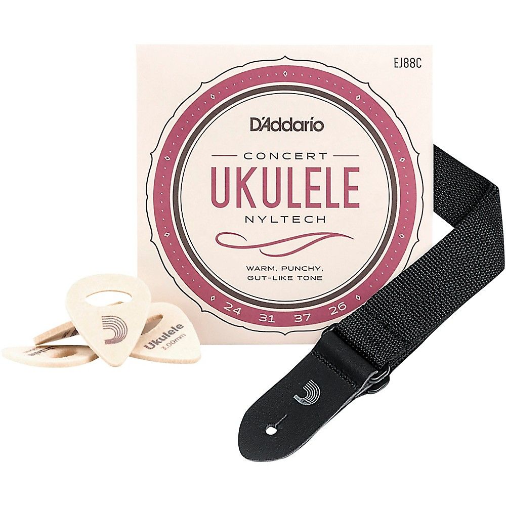 Ensemble D'Addario d’accessoires pour ukulélé